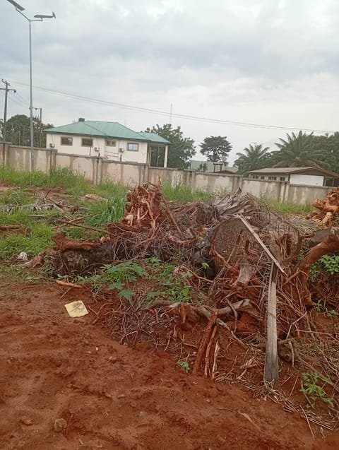Site photo, 13 Oct 2026