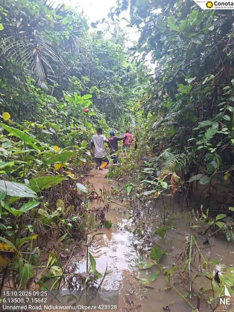 Site photo, 15 Oct 2026