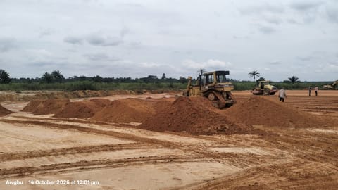 Site photo, 14 Oct 2026