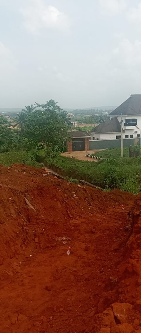 Site photo, 26 Oct 2026