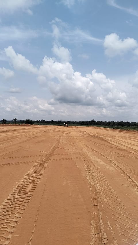 Site photo, 18 Oct 2026