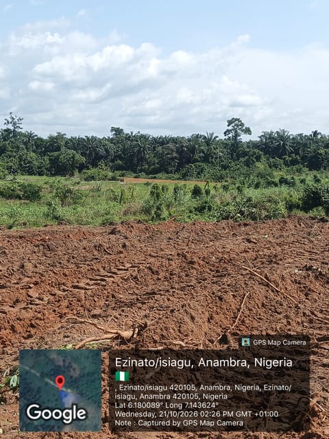 Site photo, 21 Oct 2026
