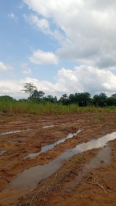 Site photo, 17 Oct 2026