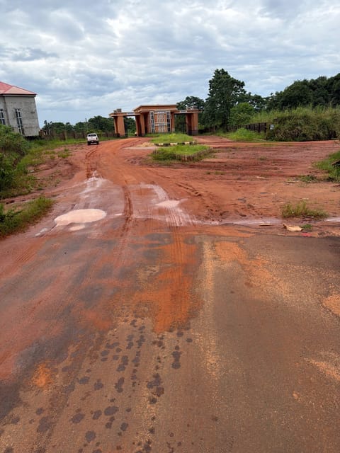 Site photo, 15 Oct 2026