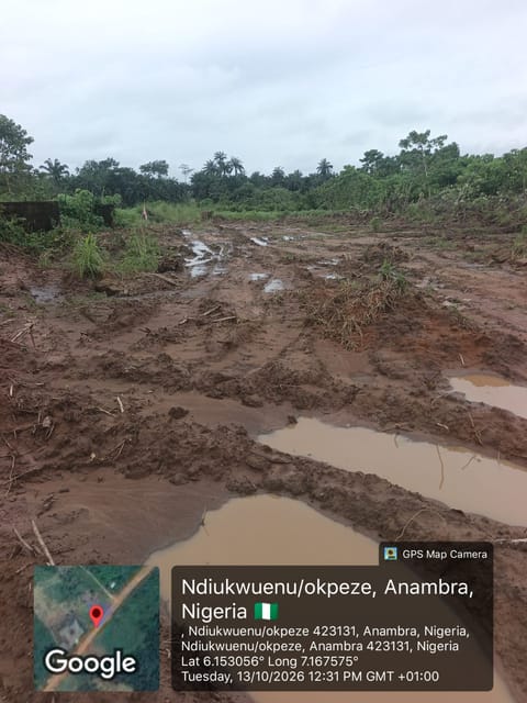 Site photo, 14 Oct 2026