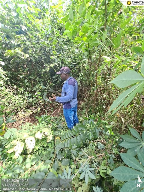 Site photo, 18 Oct 2026