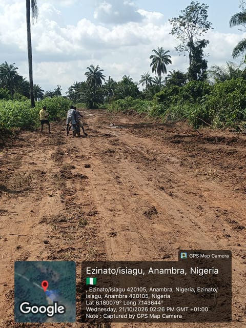 Site photo, 21 Oct 2026